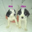 NINO e Lilica