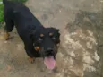 BEBÊ