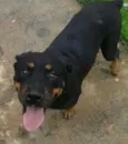BEBÊ