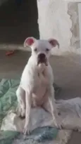 Nildo