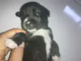 sem nome