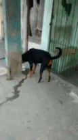REX