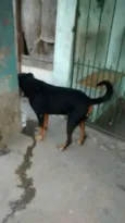 REX