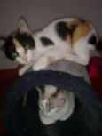 marylin&elis