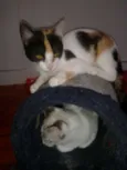 marylin&elis