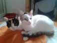 marylin&elis