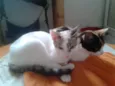 marylin&elis