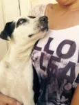 Pintado