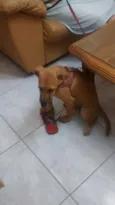 Nina