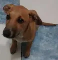 Nina