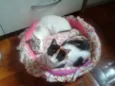marylin&elis