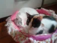marylin&elis