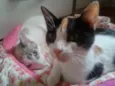 marylin&elis