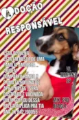 BEAGLE MIX