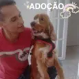 COCKER