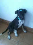 Théo