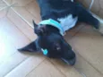 Théo