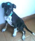 Théo