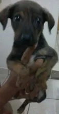 não tem nome ainda