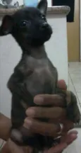 não tem nome ainda