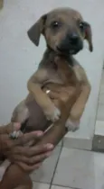 não tem nome ainda