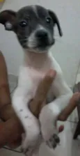 não tem nome ainda