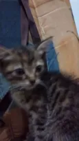 PRINCESA