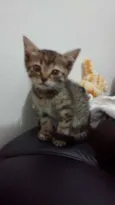 PRINCESA