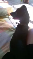 Preta