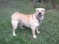 murdock