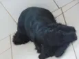 Ted