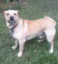 murdock