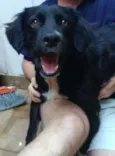 BUDY