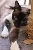 Danny