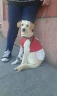 manuela