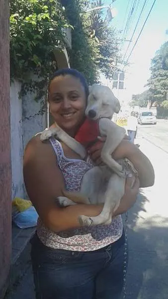 Cachorro ra a SRD idade 7 a 11 meses nome manuela