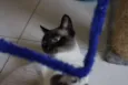 Danny