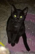 Nick