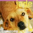 jade