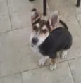 Spike
