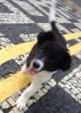 Marley