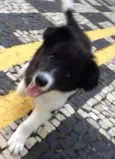 Marley
