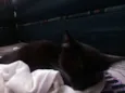 Lucky