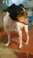 Princesa
