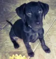 Kiara