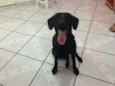 Malú