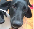 Malú