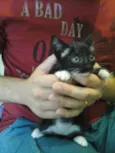 Mia e Mailo
