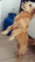 Marley
