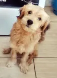 Marley